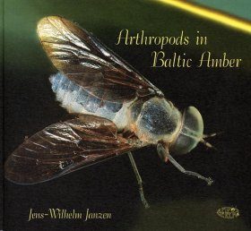 Arthropods in Baltic Amber