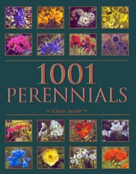 1001 Perennials