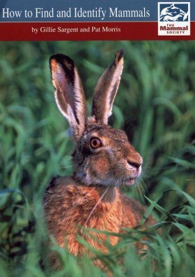 How to Find and Identify Mammals