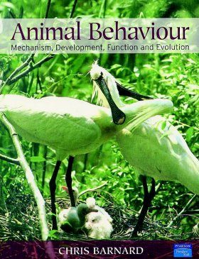 Animal Behaviour