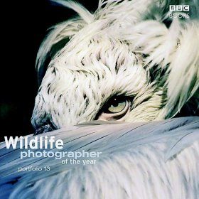 Wildlife Photographer of the Year, Portfolio 13