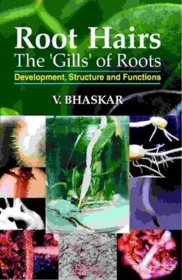 Root Hairs