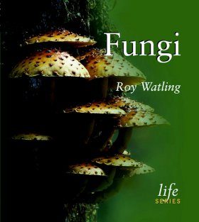 Fungi