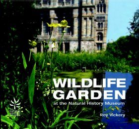 The Wildlife Garden at the Natural History Museum