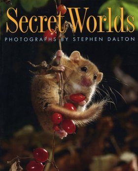 Secret Worlds