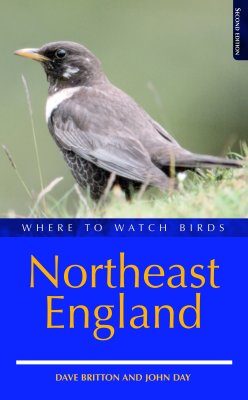 Where to Watch Birds in Northeast England