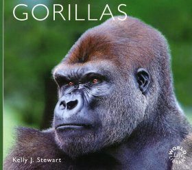 Gorillas