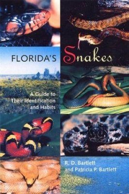Florida's Snakes