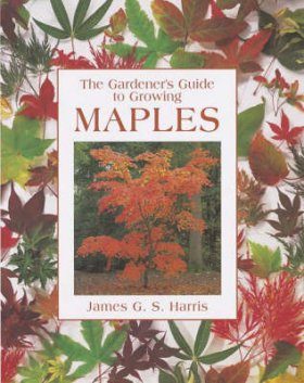 The Gardener's Guide to Growing Maples