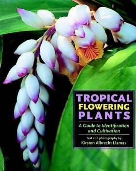 Tropical Flowering Plants
