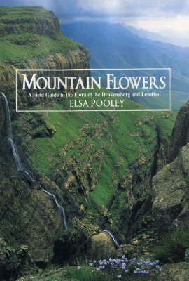 Mountain Flowers