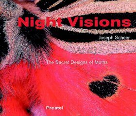 Night Visions