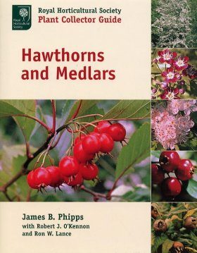 Hawthorns and Medlars