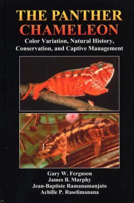The Panther Chameleon