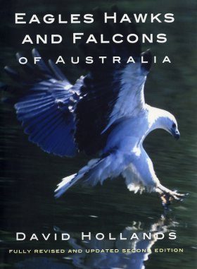 Eagles, Hawks and Falcons of Australia