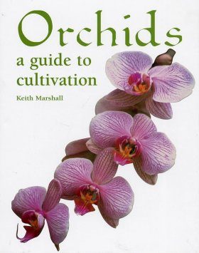 Orchids: A Guide to Cultivation
