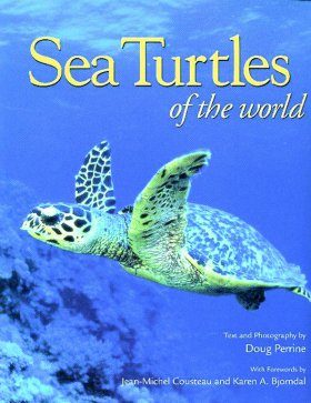 Sea Turtles of the World