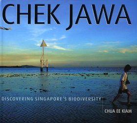 Chek Jawa