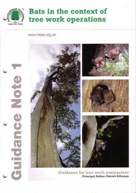 Bats in the Context of Tree Work Operations