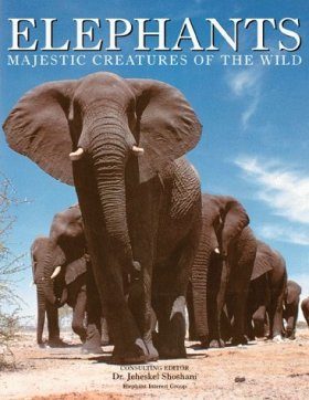 Elephants: Majestic Creatures of the Wild