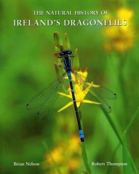 The Natural History of Ireland's Dragonflies