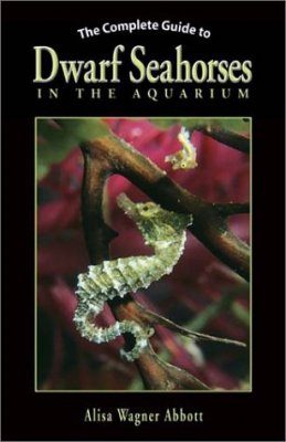 The Complete Guide to Dwarf Seahorses in the Aquarium
