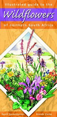Illustrated Guide to the Wild Flowers of Northern South Africa