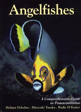 Angelfishes: A Comprehensive Guide to Pomacanthidae