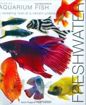 Focus on Aquarium Fish