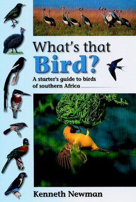 What's that Bird?