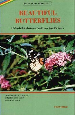 Beautiful Butterflies