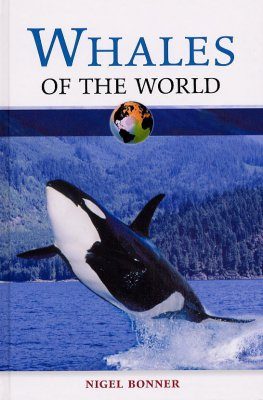 Whales of the World