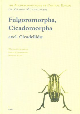 Fulgoromorpha, Cicadomorpha excl. Cicadellidae