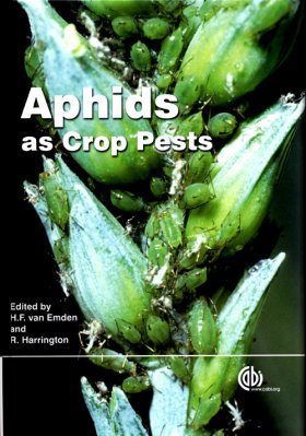 Aphids as Crop Pests
