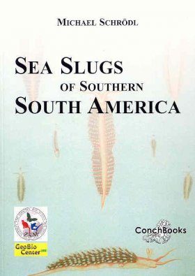 Sea Slugs of Southern South America