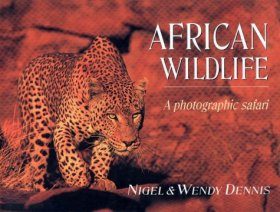 African Wildlife