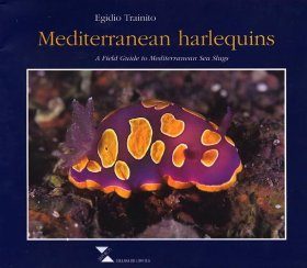 Mediterranean Harlequins