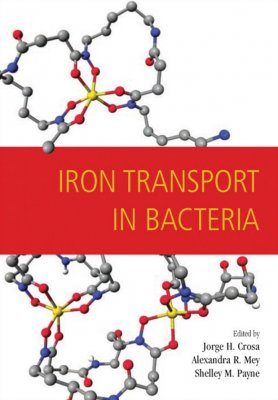 Iron Transport in Bacteria