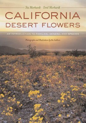 California Desert Flowers