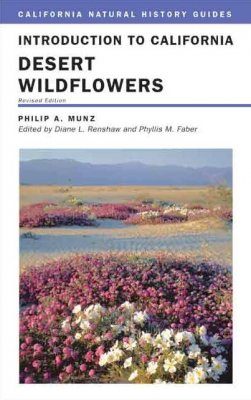 Introduction to California Desert Wildflowers