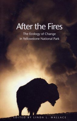 After the Fires