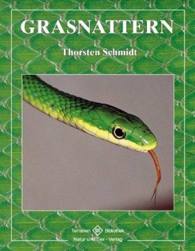 Grasnattern