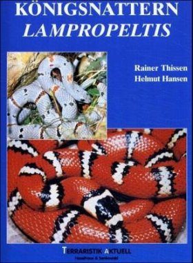 Königsnattern - Lampropeltis