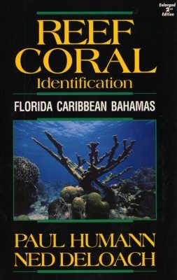 Reef Coral Identification