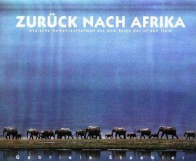 Zurück Nach Afrika
