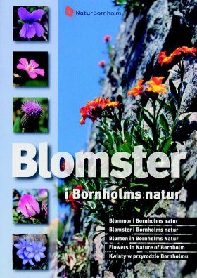 Flowers in Nature of Bornholm