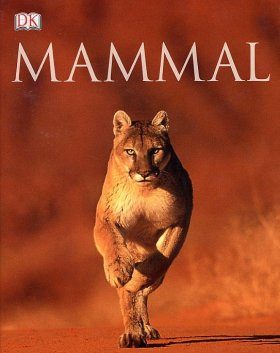 Mammal