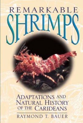 Remarkable Shrimps