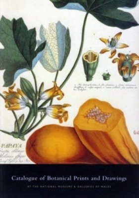 Catalogue of Botanical Prints and Drawings at the National Museums and Galleries of Wales