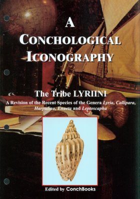 A Conchological Iconography: The Tribe Lyriini